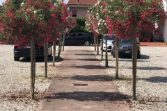 IMG_6226-e1661926462392